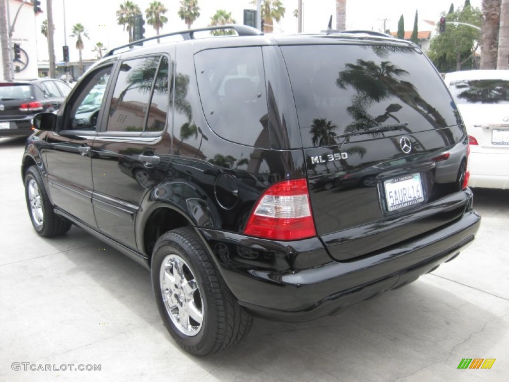 2003 ML 350 4Matic - Black / Charcoal photo #6