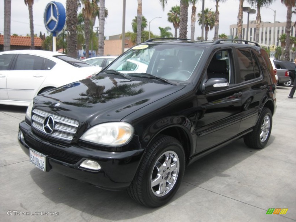 2003 ML 350 4Matic - Black / Charcoal photo #7