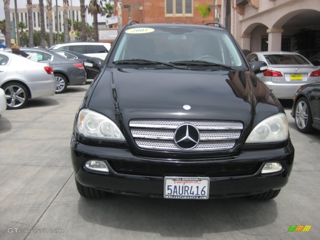 2003 ML 350 4Matic - Black / Charcoal photo #8