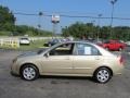 Sand Beige Metallic - Spectra EX Sedan Photo No. 6