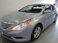 Iridescent Silver Blue Metallic - Sonata GLS Photo No. 2