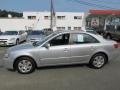 Radiant Silver - Sonata GLS Photo No. 4