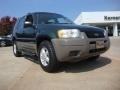 Dark Highland Green Metallic - Escape XLS V6 4WD Photo No. 1