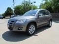 Alpine Gray Metallic - Tiguan SE 4Motion Photo No. 1