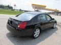 2004 Onyx Black Nissan Maxima 3.5 SE  photo #8