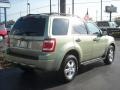 Kiwi Green Metallic - Escape XLT V6 Photo No. 3