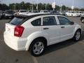 Stone White - Caliber SXT Photo No. 4