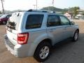 2008 Light Ice Blue Ford Escape Hybrid 4WD  photo #4