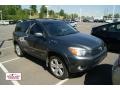 Flint Mica - RAV4 Sport 4WD Photo No. 1