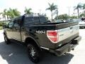 Black - F150 Platinum SuperCrew 4x4 Photo No. 9