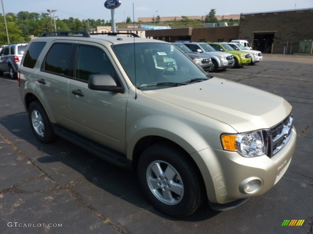 Gold Leaf Metallic 2012 Ford Escape XLT Exterior Photo #52372090