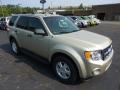 Gold Leaf Metallic 2012 Ford Escape XLT Exterior