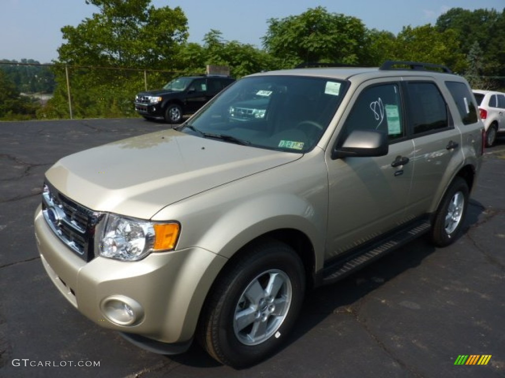 Gold Leaf Metallic 2012 Ford Escape XLT Exterior Photo #52372150