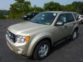 Gold Leaf Metallic 2012 Ford Escape XLT Exterior