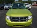 Lime Squeeze Metallic 2012 Ford Escape XLT 4WD Exterior