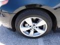 Jet Black - 5 Series 525xi Sedan Photo No. 37