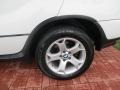 Alpine White - X5 3.0i Photo No. 9