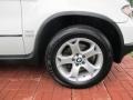 Alpine White - X5 3.0i Photo No. 11