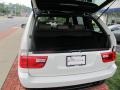 Alpine White - X5 3.0i Photo No. 24