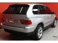 2006 Titanium Silver Metallic BMW X5 4.4i  photo #3