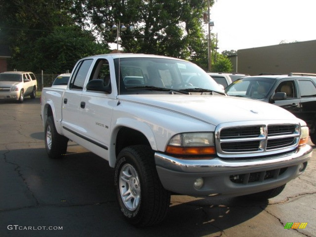 2002 Dakota SLT Quad Cab 4x4 - Bright White / Taupe photo #3