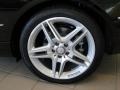 2012 Mercedes-Benz E 350 Coupe Wheel and Tire Photo