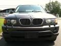 2003 Steel Grey Metallic BMW X5 4.4i  photo #3