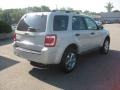 2009 Light Sage Metallic Ford Escape XLT  photo #6