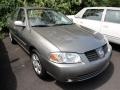 Bronze Shimmer - Sentra 1.8 S Photo No. 1