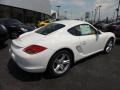 Carrara White - Cayman  Photo No. 7