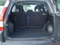 Eternal Blue Pearl - CR-V EX 4WD Photo No. 10
