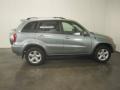 Everglade Metallic - RAV4 4WD Photo No. 13