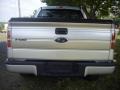 2010 Ingot Silver Metallic Ford F150 STX SuperCab 4x4  photo #4