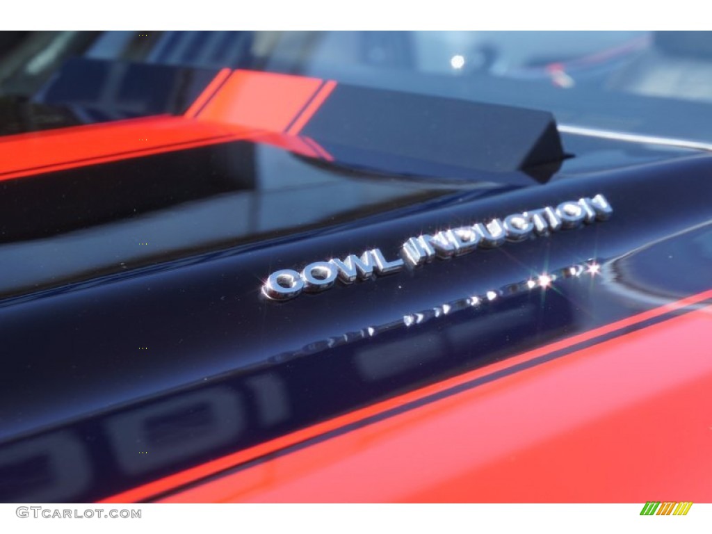 1971 Chevrolet Chevelle SS 454 Convertible Marks and Logos Photo #52416349