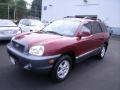 2002 Merlot Hyundai Santa Fe GLS  photo #28