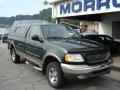 2003 Dark Highland Green Metallic Ford F150 XLT Regular Cab 4x4  photo #2