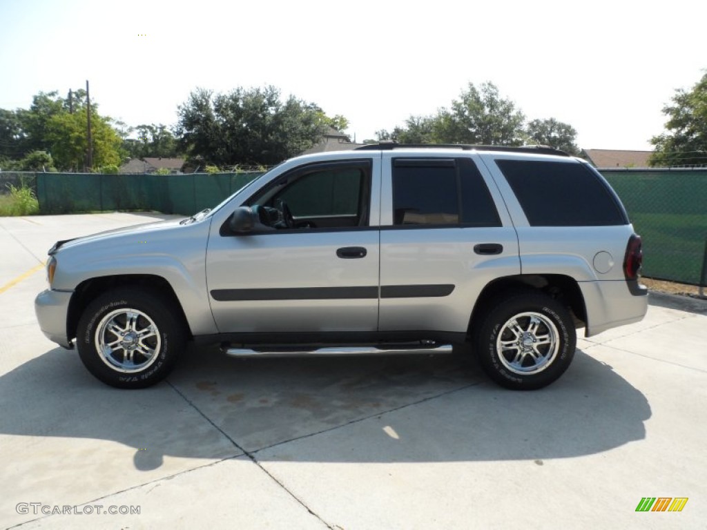 2005 TrailBlazer LS 4x4 - Silverstone Metallic / Light Gray photo #6