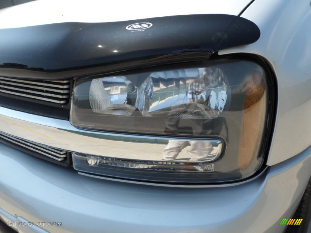 2005 TrailBlazer LS 4x4 - Silverstone Metallic / Light Gray photo #10