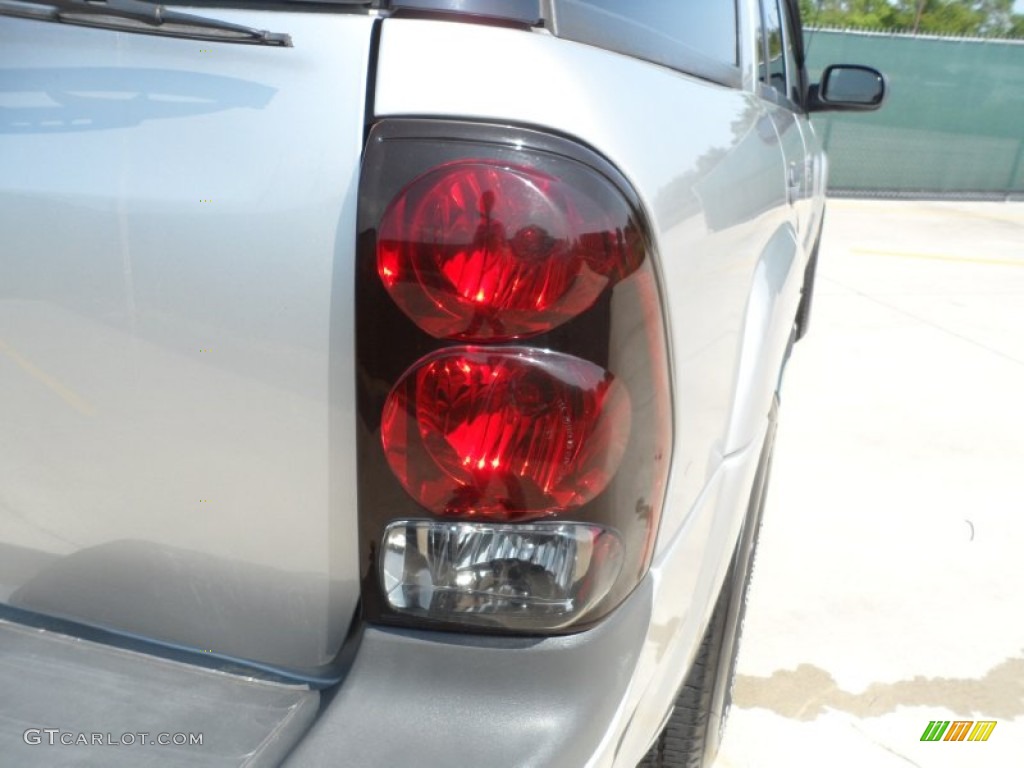 2005 TrailBlazer LS 4x4 - Silverstone Metallic / Light Gray photo #19