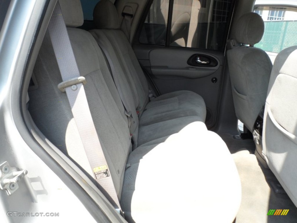 2005 TrailBlazer LS 4x4 - Silverstone Metallic / Light Gray photo #29