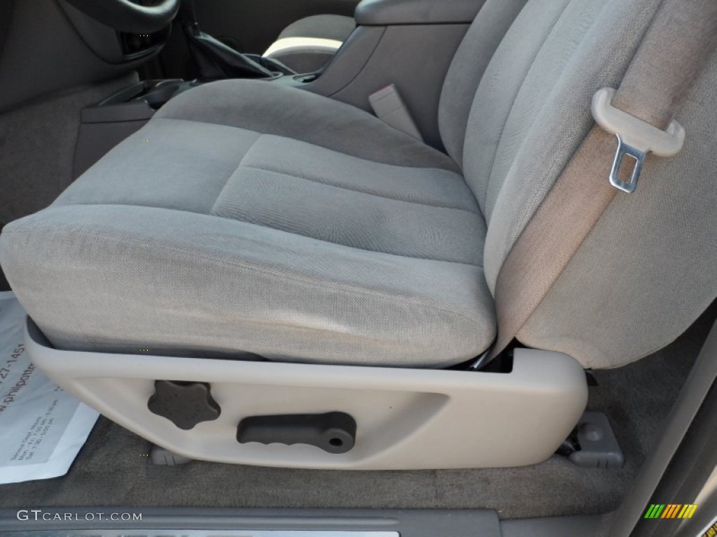 2005 TrailBlazer LS 4x4 - Silverstone Metallic / Light Gray photo #38