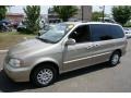 2002 Silky Beige Kia Sedona LX #52396133