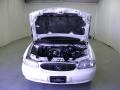 White - Century Custom Photo No. 20