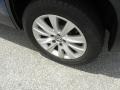 Sapphire Blue Metallic - Tiguan SE 4Motion Photo No. 18