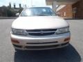 Sunlit Sand Metallic - Maxima GXE Photo No. 10