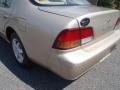 Sunlit Sand Metallic - Maxima GXE Photo No. 17