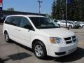 Stone White - Grand Caravan SE Photo No. 21