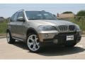 Platinum Bronze Metallic - X5 4.8i Photo No. 1