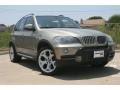 2007 Platinum Bronze Metallic BMW X5 4.8i  photo #1