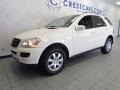 Alabaster White - ML 350 4Matic Photo No. 7